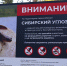 Сыктывкарцев предупредили о необычной «группировке» в Беличьем парке - Bnkomi.Ru