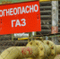 Газификация в Нижегородской области замедлилась из-за сокращения финансирования - Комсомольская Правда