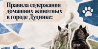 Права владельцев заканчиваются там, где начинаются права других граждан. - Таймырский Долгано-Ненецкий район