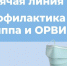 Проводится тематическая «горячая линия» по вопросам профилактики гриппа и ОРВИ. - Борисовский район