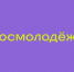 Опрос молодых жителей - НГИАМ