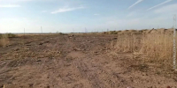 В Волгоградской области завели дело за порчу почвы отходами - Комсомольская Правда
