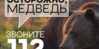 Памятка для жителей Уярского района: Что делать при встрече с медведем.. - Уярский район