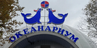 Стало известно, когда можно будет купить билеты в Мурманский океанариум - КП Мурманск