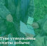 В Туве в период осеннего охотничьего сезона можно добыть 300 лосей - ИА Тува-Онлайн