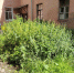 1dIMG_20260713_142750.jpg - Госжилинспекция
