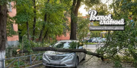 В Советском районе Ростова дерево упало на легковушку - DonDay.Ru