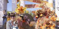 В Иванове вновь пройдет традиционная осенняя ярмарка «День урожая» - Департамент Сельского хозяйства