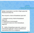 Чат-бот для поиска укрытий запустили в Рязанской области - Комсомольская Правда