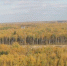 kaluga-poisk.ru - Kaluga-Poisk.Ru