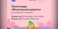 Для брянских школьников стартовала олимпиада по ПДД - БрянскToday.Ru