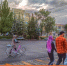 22 сентября — Всемирный день без автомобиля - Kamensk24.Ru