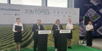 «Агрорусь-2026» в Петербурге: студенты ГУМРФ стали волонтёрами крупнейшей агропромышленной выставки - ГМА им. адм. С.О.Макарова