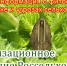 Изображение без описания. - Министерство сельского хозяйства