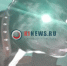 Костромичам рассказали, куда пожаловаться на агрессивных бродячих псов - K1News.Ru
