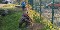 С заботой о родном районе: активисты Усть-Кулома присоединились к акции «Зелёная Россия – 2026». - Усть-Куломский район
