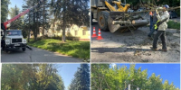 Лето в цифрах: МБУ «ДОДХИБ» подвело итоги работ по содержанию зелёных насаждений - Газета Истра сегодня