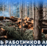 День работники леса и лесоперерабатывающей промышленности. - Пестовский район
