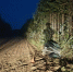Фото ГАИ по Коми - Syktyvkar.1istochnik.Ru