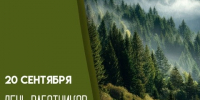 🌳Уважаемые работники и ветераны лесной отрасли Кикнурского муниципального округа!. - Кикнурский округ