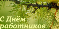 Уважаемые работники леса и лесоперерабатывающей промышленности!. - Шипуновский район
