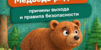 Что делать, если рядом оказался медведь?  - Комитет образования г. Чита