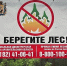 В минлеспроме региона подвели итоги наземного патрулирования лесов в пожароопасный сезон - Сетевое издание Каргополье