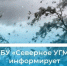 Метепредупреждение. - Холмогорский муниципальный округ