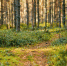 Картинка - Regions.Ru