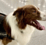 Картинка - Regions.Ru