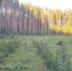 Картинка - Regions.Ru