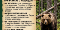 правила безопасности при встрече с медведем. - Каратузский район
