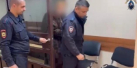 Зоозащитница получила 4 года колонии за отправленное порно искусанному собакой ребенку из Ессентуков - Bloknot-Stavropol.Ru