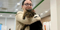 На одном из курских избирательных участков работает усатый сотрудник — кот Тони. - Город Курск