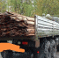 В помощь фронту - Газета Восход