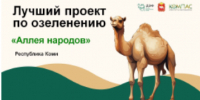 До 28 сентября жители Коми могут проголосовать за "Аллею народов" в Сыктывкаре - ИА Комиинформ