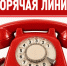 Открывается «горячая линия» по вопросам профилактики гриппа и ОРВИ. - Волоконовский муниципальный округ