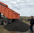 На Полынковском кладбище Тамбова укрепляют дороги - OnlineTambov.Ru