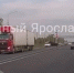 Выскочивший на дорогу лось сводил с ума ярославских водителей - Комсомольская Правда