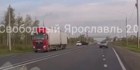Выскочивший на дорогу лось сводил с ума ярославских водителей - Комсомольская Правда