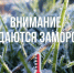 Внимание: неблагоприятные погодные явления - Амурский район
