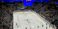 Нижегородское  Торпедо  разгромило омский  Авангард  на  Volga Арене  - фото 1 - vGorodeN.Ru