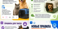 Правила перевозки животных - Управление ветеринарии