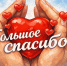 Мы говорим вам СПАСИБО! - Справедливая Россия