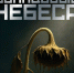 22 октября выходит художественный полнометражный фильм «Свинцовые небеса» - Комитет по делам молодежи