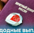 Обозначены новые функции Соцфонда в отношении выплат донорам и пострадавшим от вакцин с 2027 года - Global78.Ru