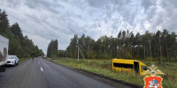 Смертельное ДТП с микроавтобусом произошло в Подмосковье - Сетевое издание Толк