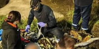 91-летнего пенсионера с признаками переохлаждения спасли в лесу Подольска - ТК Кварц