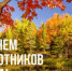 С днем работников леса! - Министерство лесного хозяйства