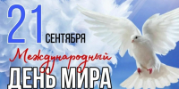 Ребята из Селеченской школы написали теплые слова бойцам СВО - Рассвет